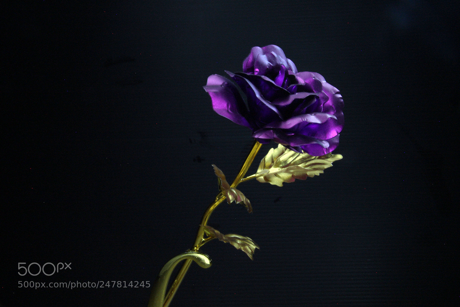 Canon EOS 600D (Rebel EOS T3i / EOS Kiss X5) sample photo. Lightpainting photography
