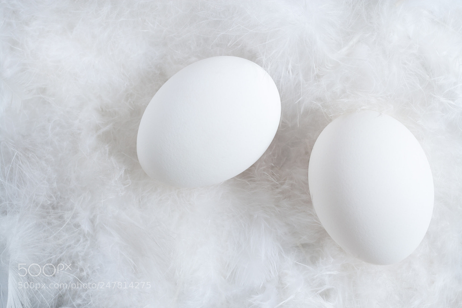 Canon EOS 400D (EOS Digital Rebel XTi / EOS Kiss Digital X) sample photo. Two white egg are photography