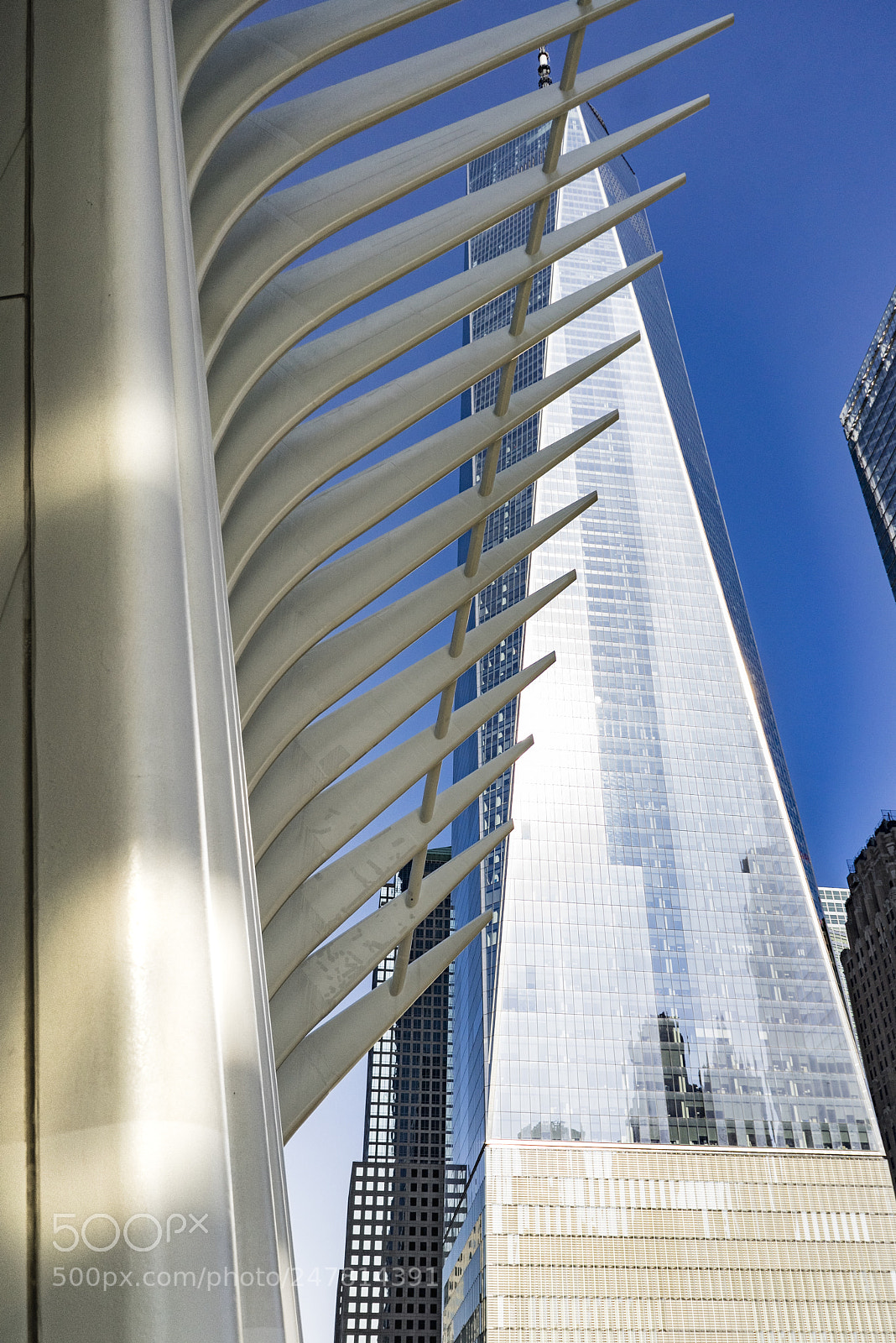 Sony a7R sample photo. World trade center photography