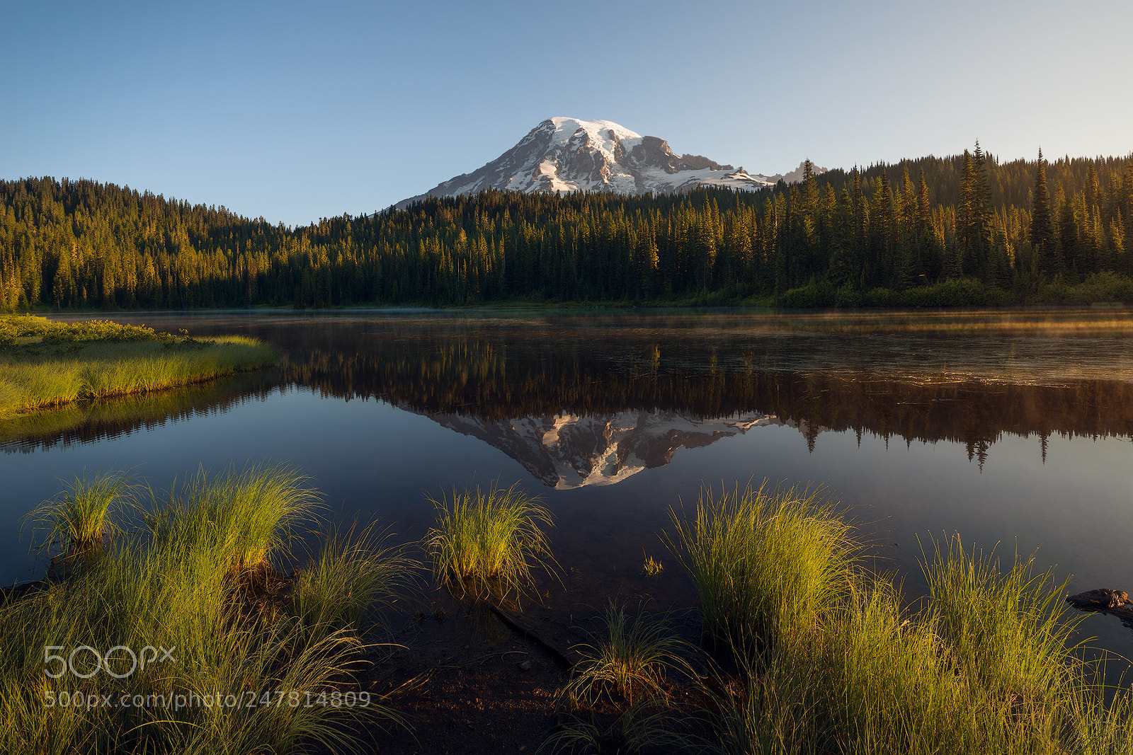 Nikon D800 sample photo. Mount rainier photography