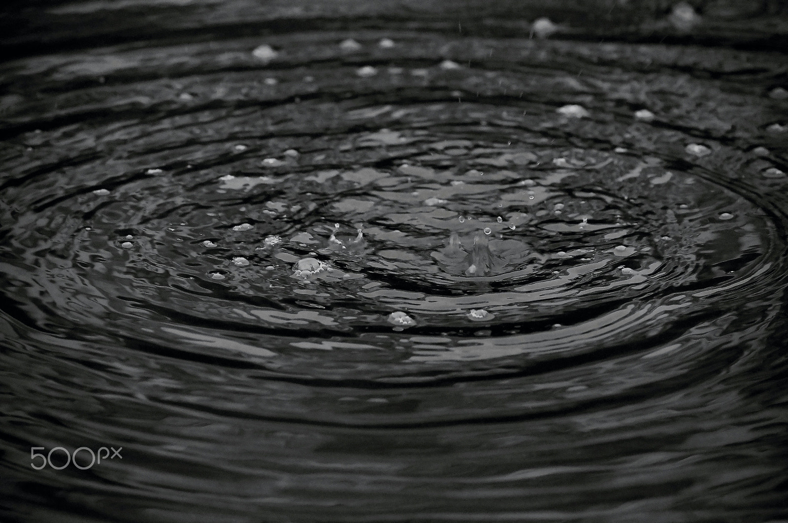 Nikon D90 sample photo. A chuva photography