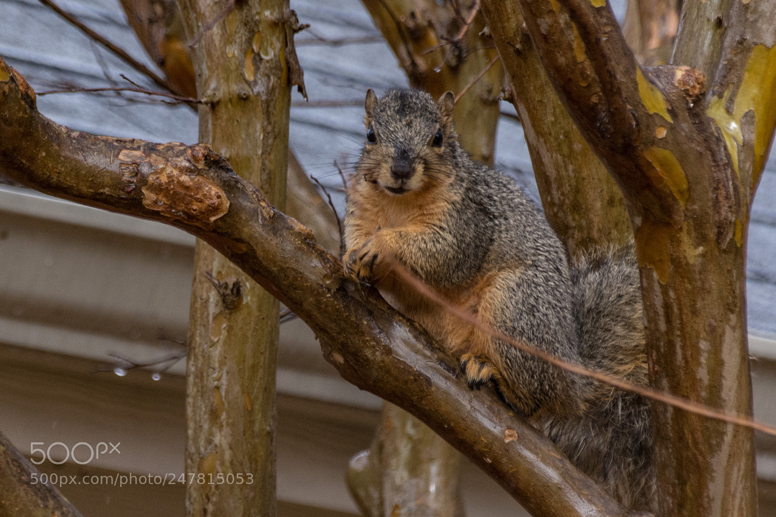 Nikon D7100 sample photo. Enough already photography