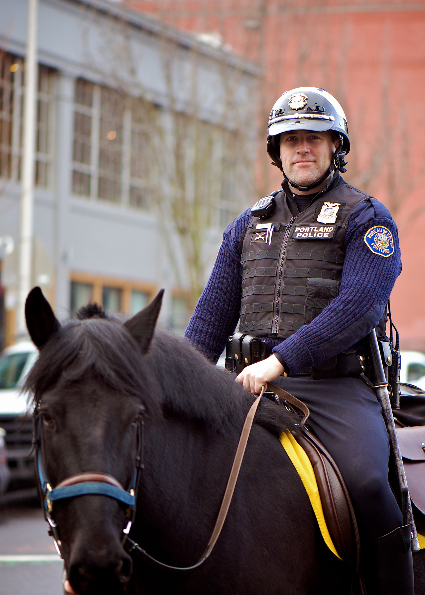 Officer and his Horse