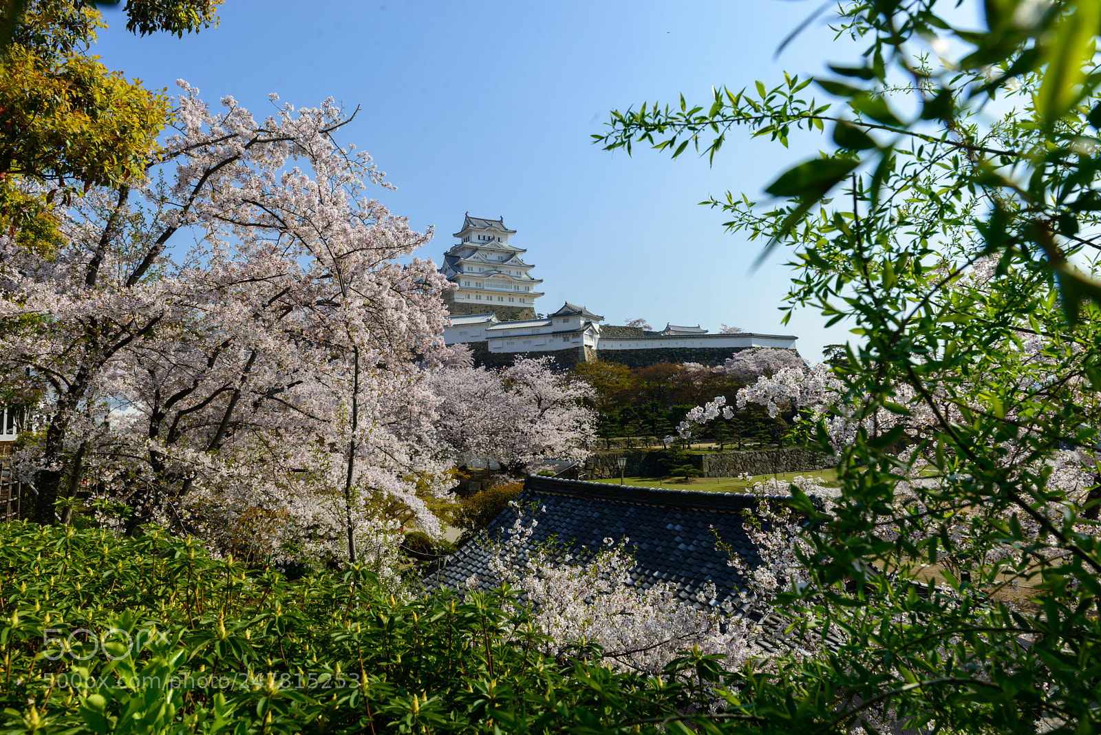 Nikon D800 sample photo. Himeji castle photography