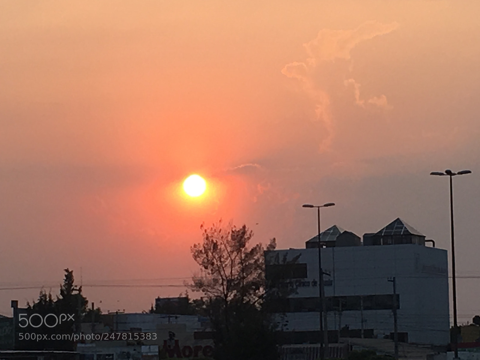 Apple iPhone SE sample photo. Untitled photography