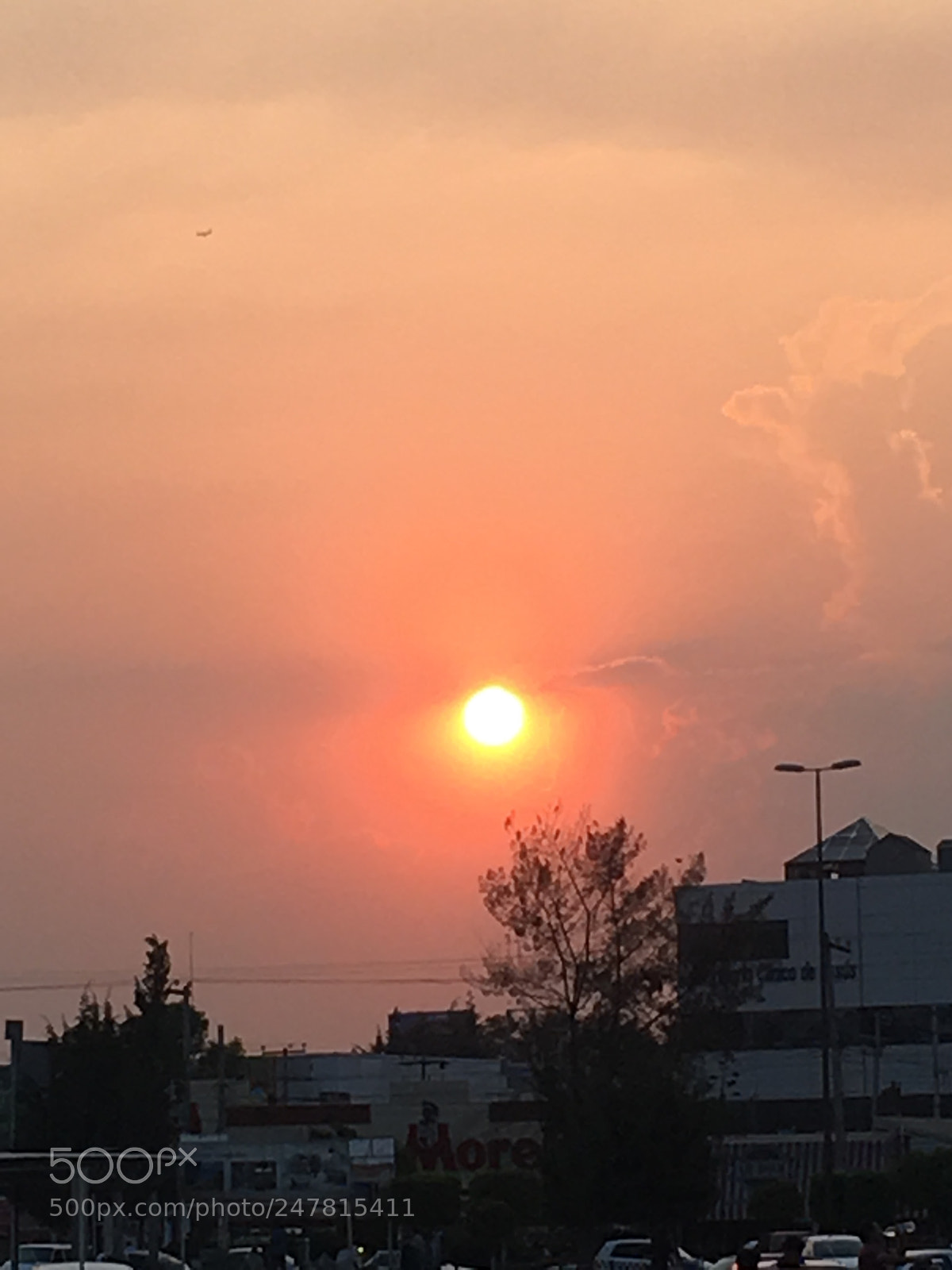 Apple iPhone SE sample photo. Untitled photography