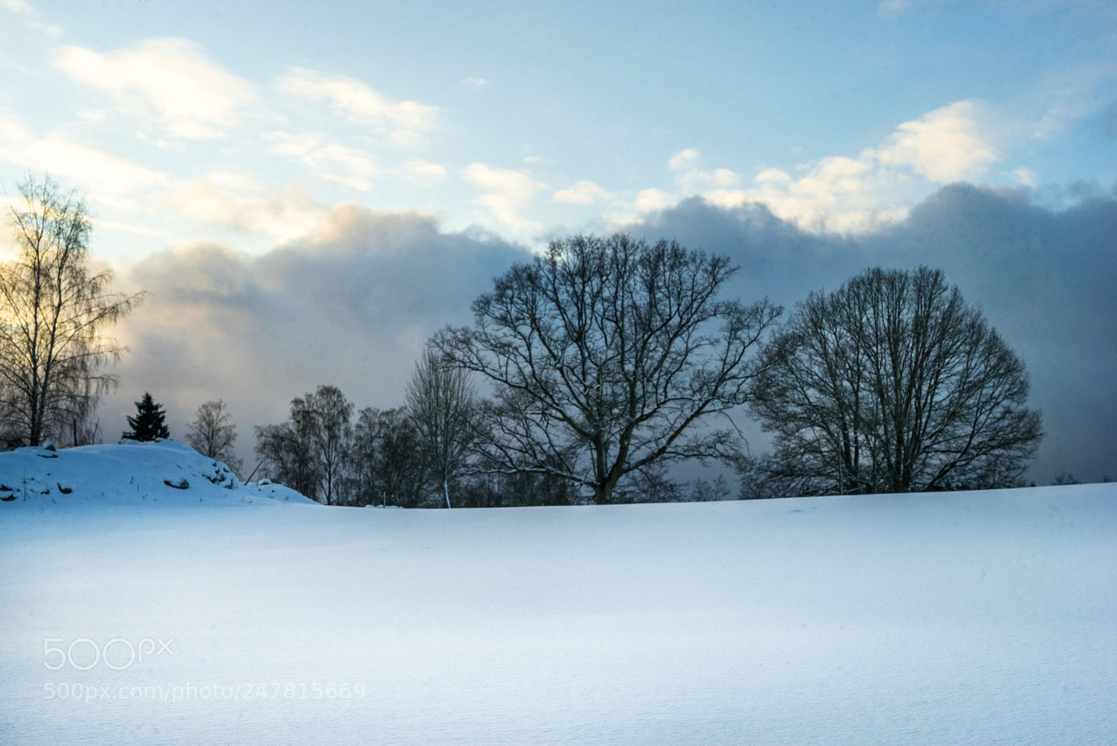 Sony a7R sample photo. A cold winterday photography