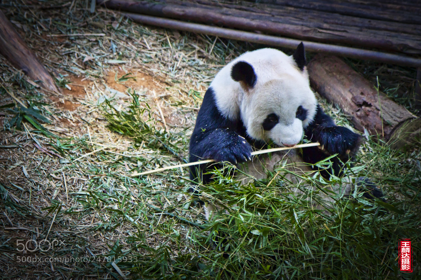 Canon EOS 60D sample photo. Lunch time photography