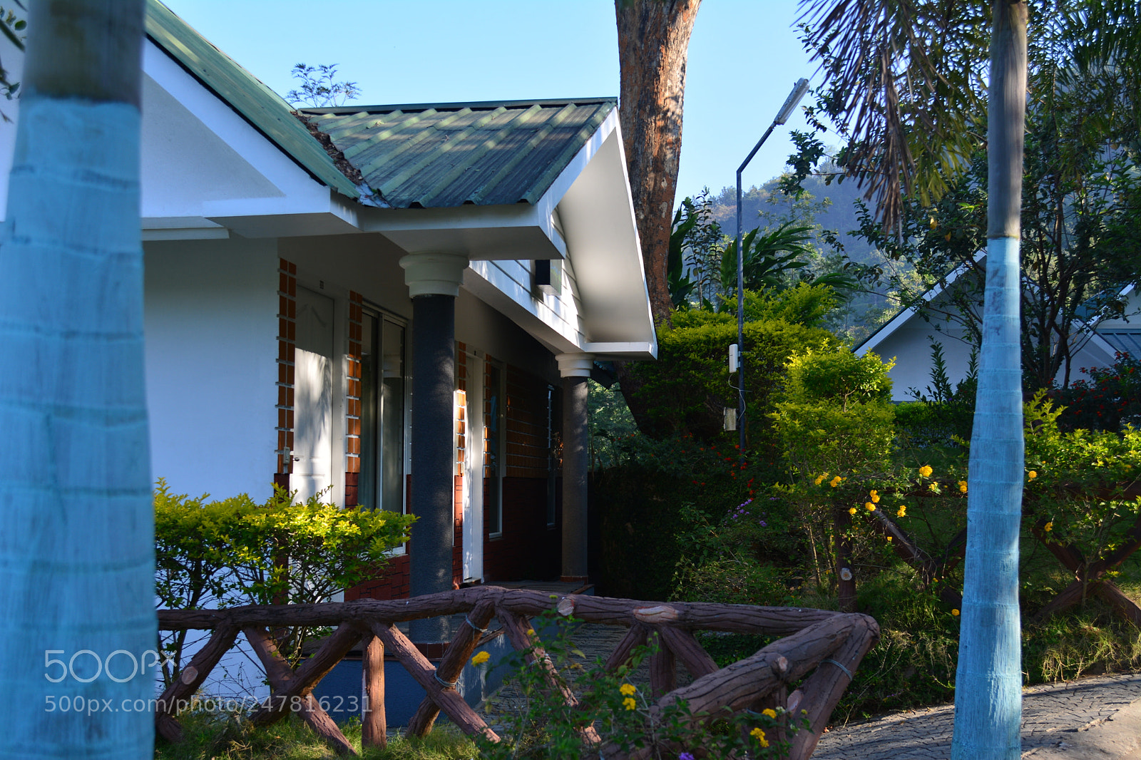Nikon D5200 sample photo. Munnar resort photography