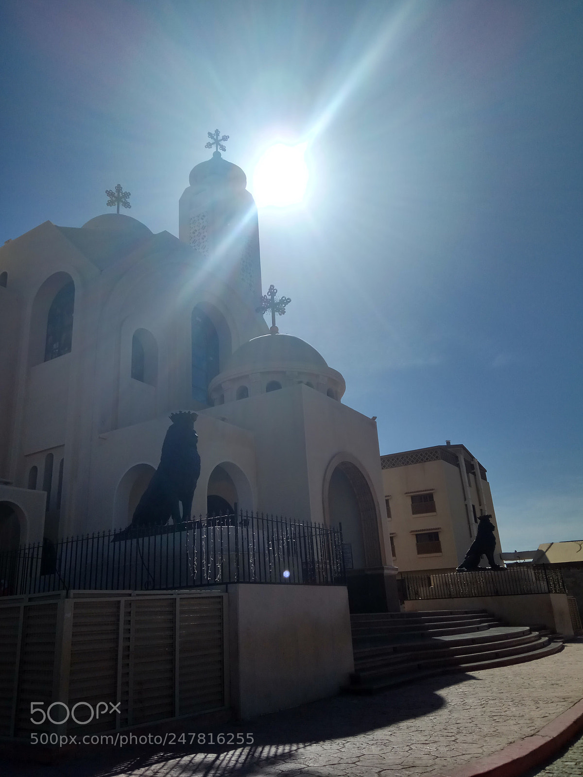 Xiaomi Redmi Note 4 sample photo. ������������������������������� photography