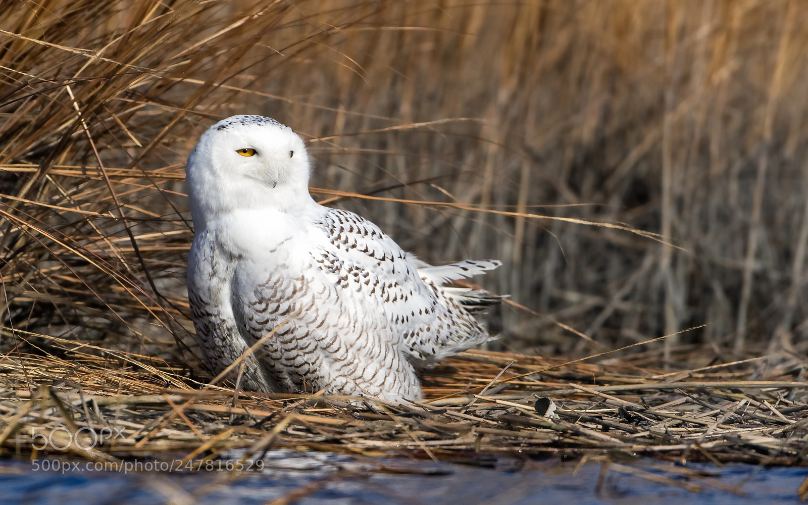 Canon EOS 7D Mark II sample photo. High tide photography