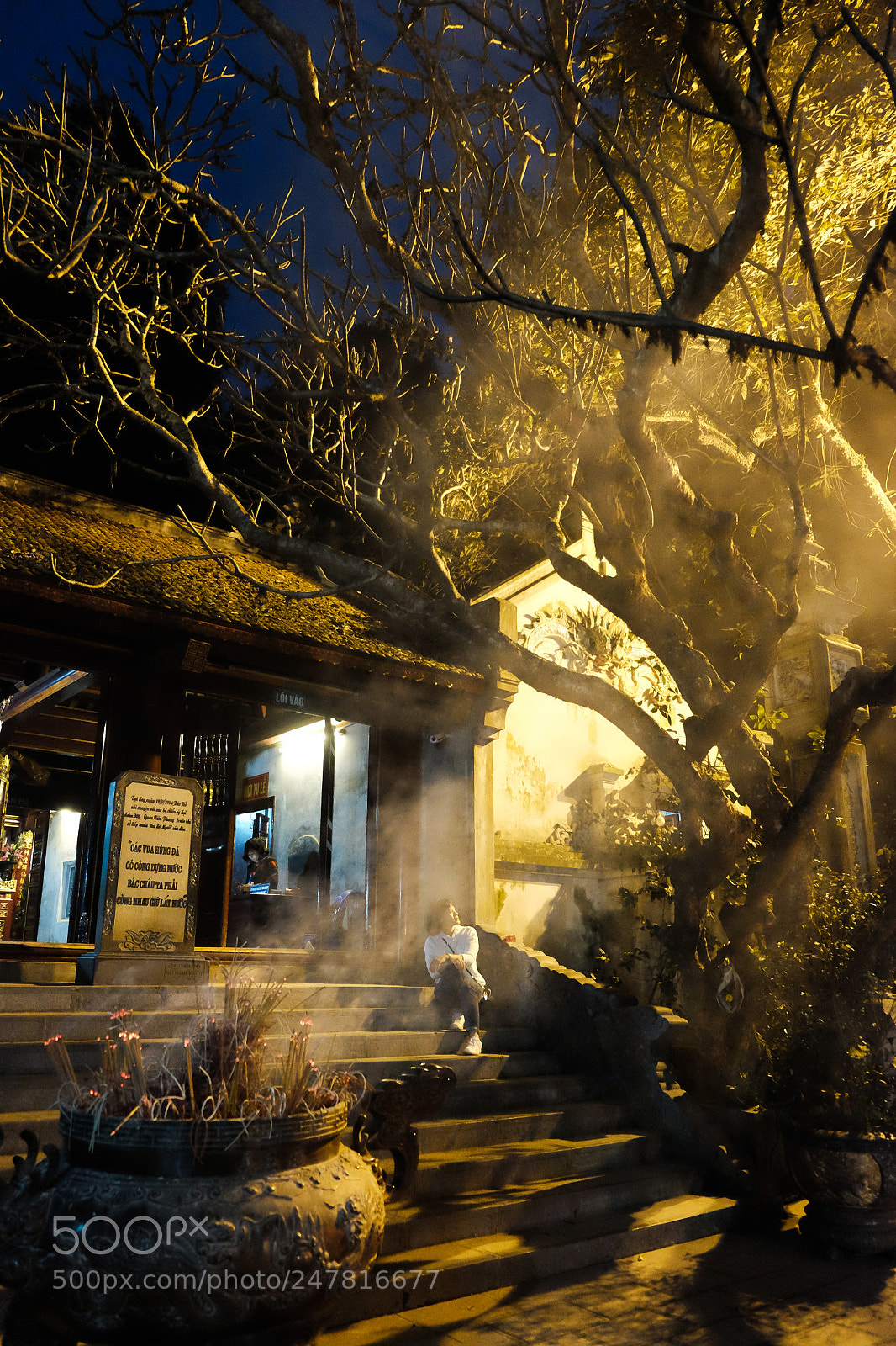 Fujifilm X-T1 sample photo. The woman under the photography