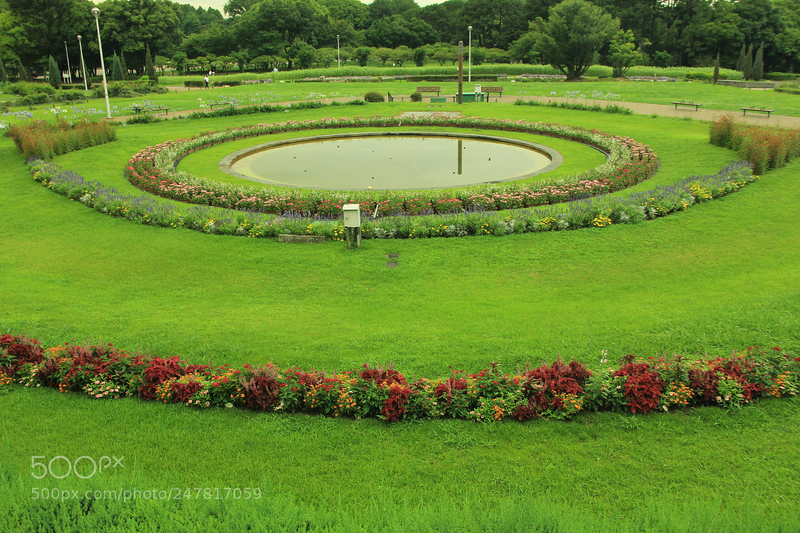 Canon EF-S 18-135mm F3.5-5.6 IS sample photo. Flower garden photography