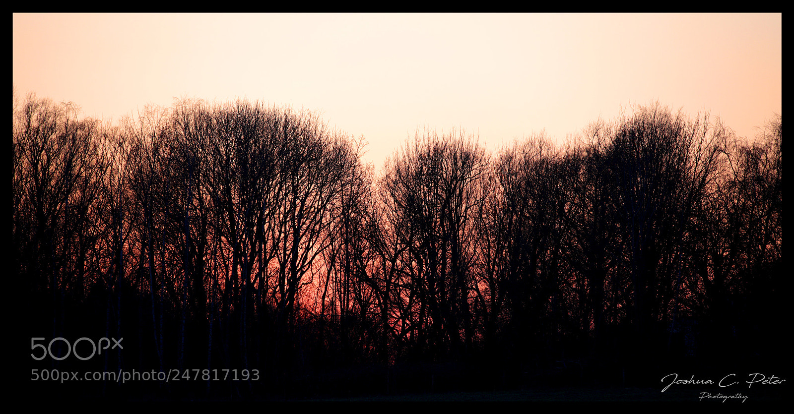 Canon EOS 6D Mark II sample photo. Sunset silhouette photography
