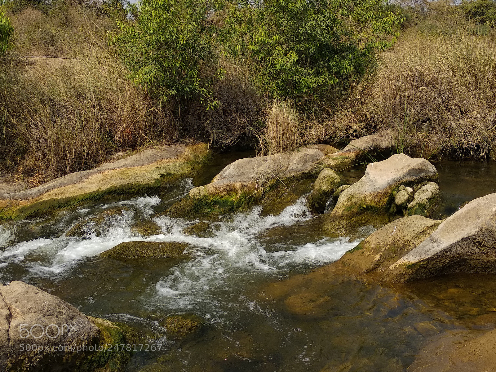 Xiaomi Mi A1 sample photo. Img_20180225_113736.jpg photography