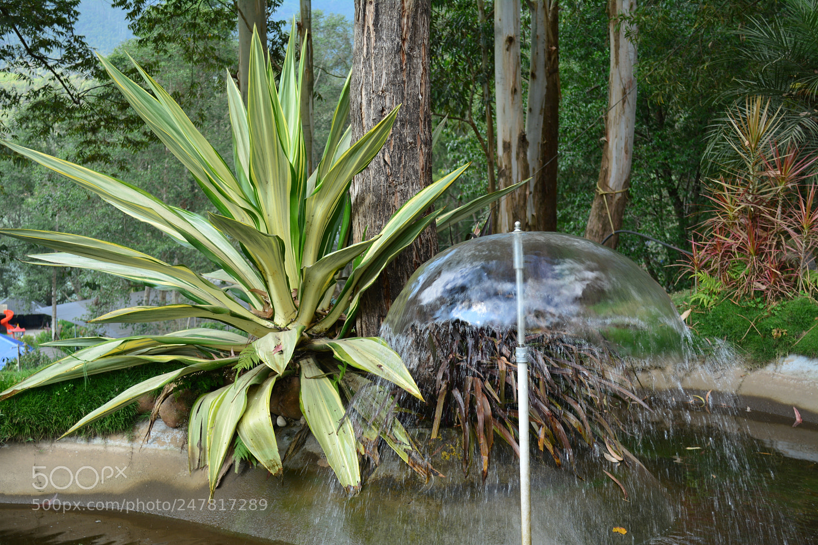 Nikon D5200 sample photo. Munnar stills photography