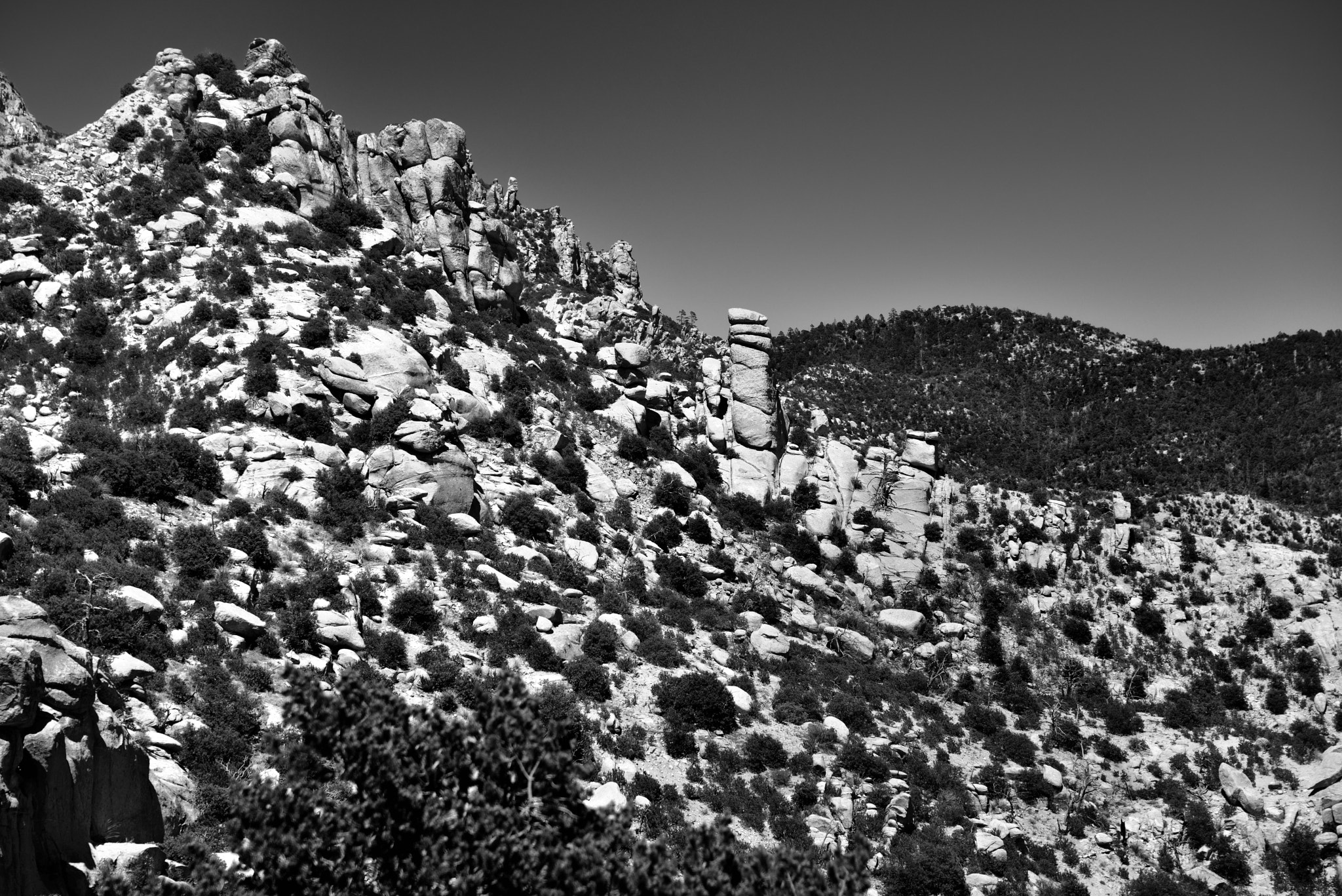 Nikon AF-S Nikkor 24-120mm F4G ED VR sample photo. Hoodoos and goose head rock (black & white) photography