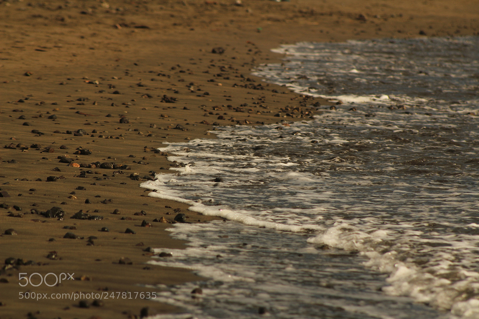 Canon EF 75-300mm f/4-5.6 sample photo. Love photography