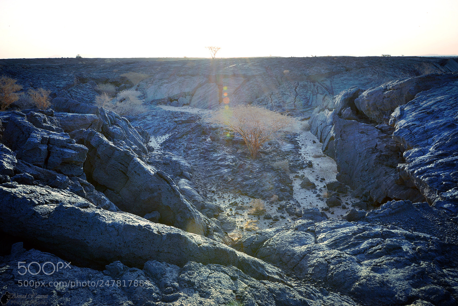 Nikon D800E sample photo. Lava field photography