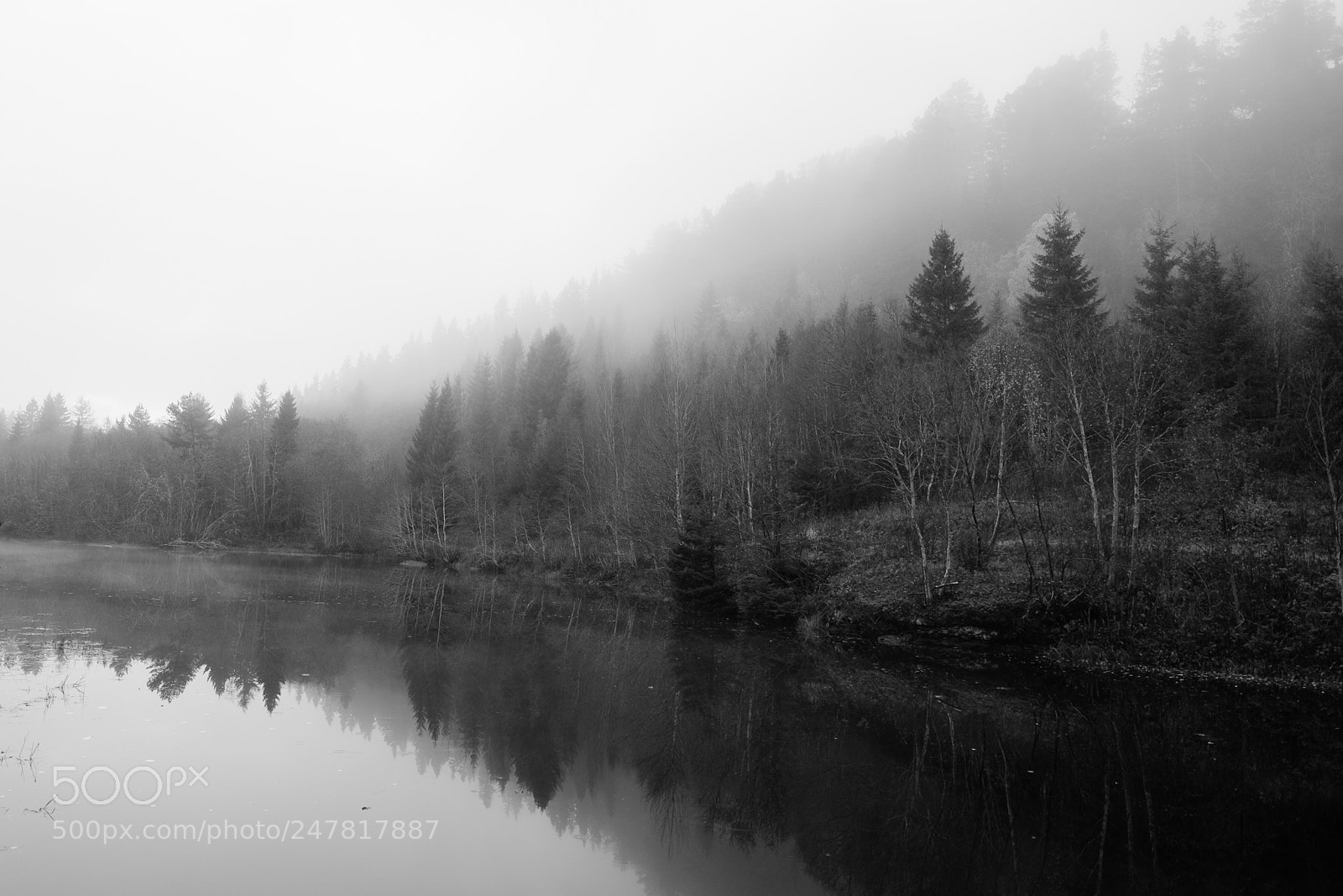 Fujifilm X-T1 sample photo. Untitled photography