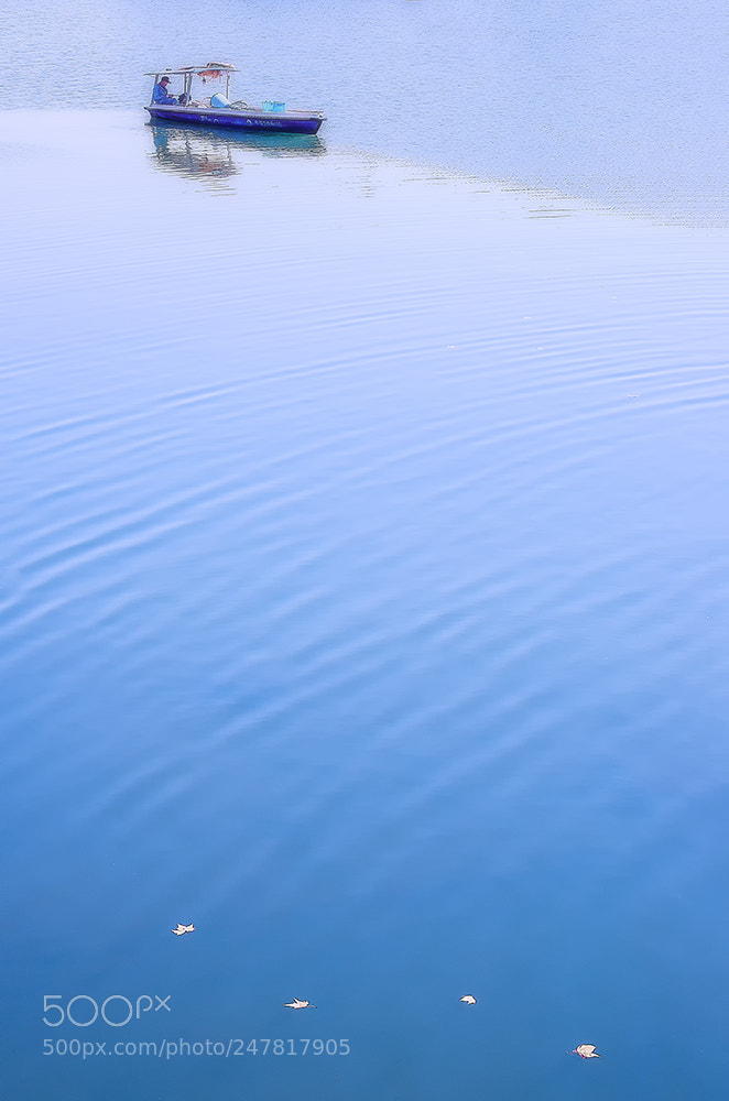 Pentax K-5 IIs sample photo. 休息中的西湖工作船20180301 photography