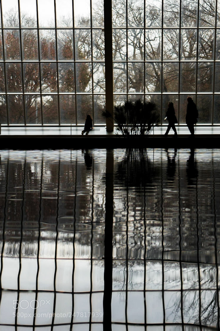 Sony a7 II sample photo. Reflecting pool photography