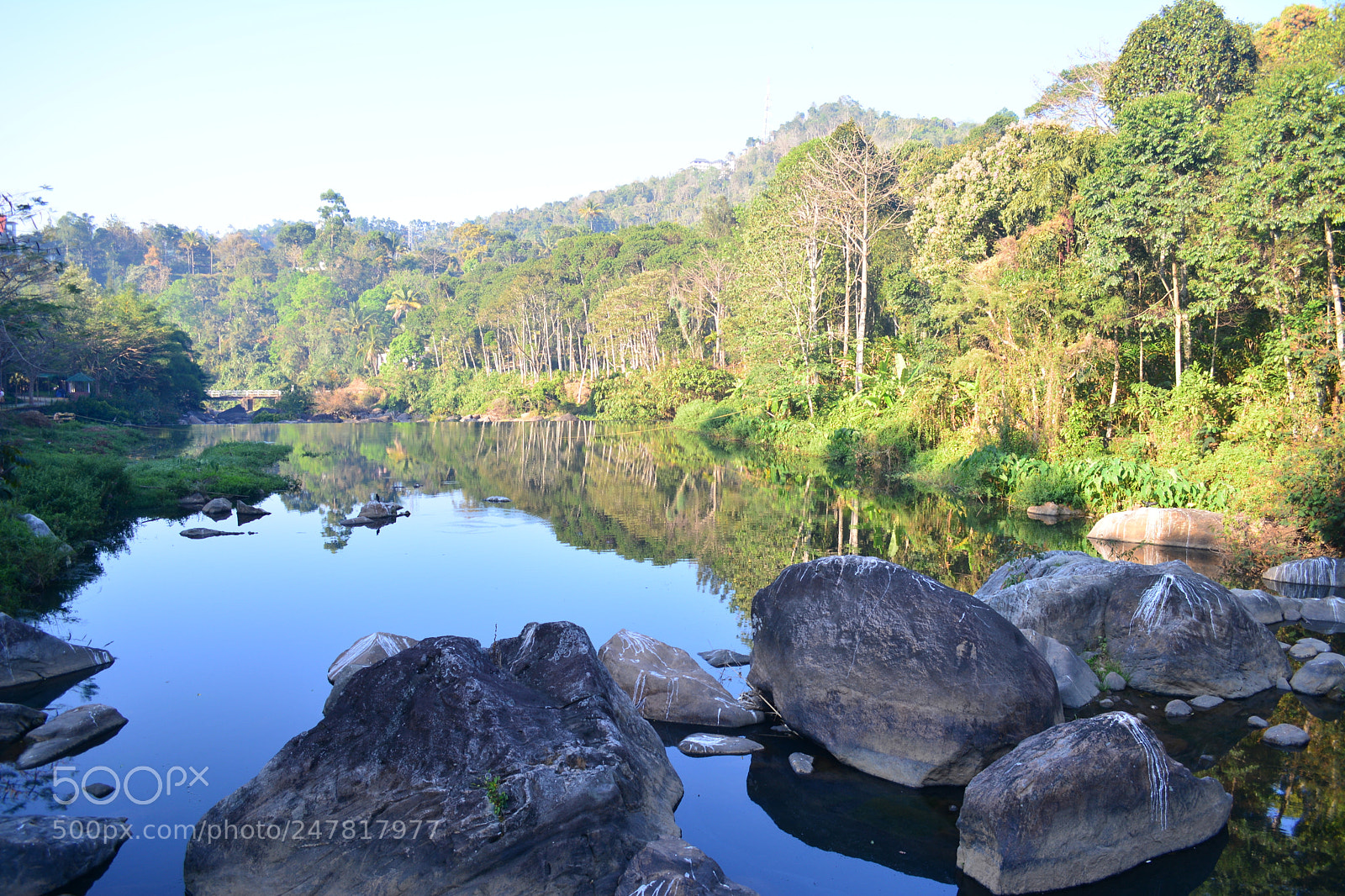 Nikon D5200 sample photo. Nature love photography