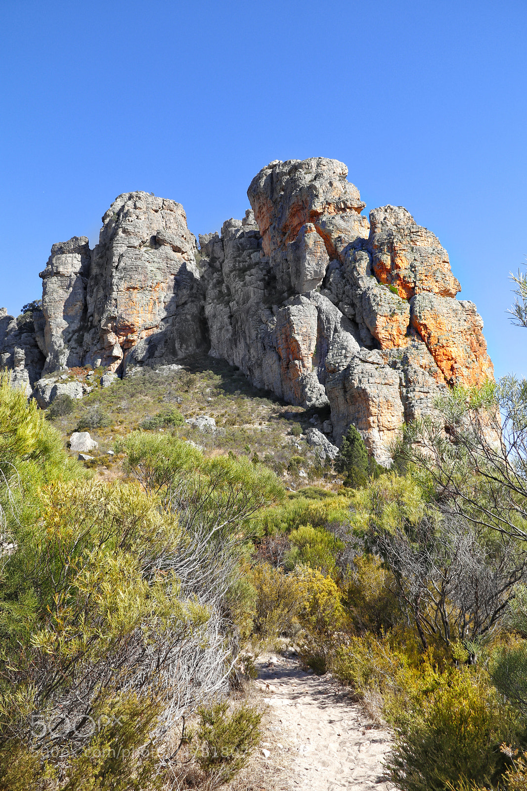 Canon EOS 80D sample photo. The bluff at djurite photography
