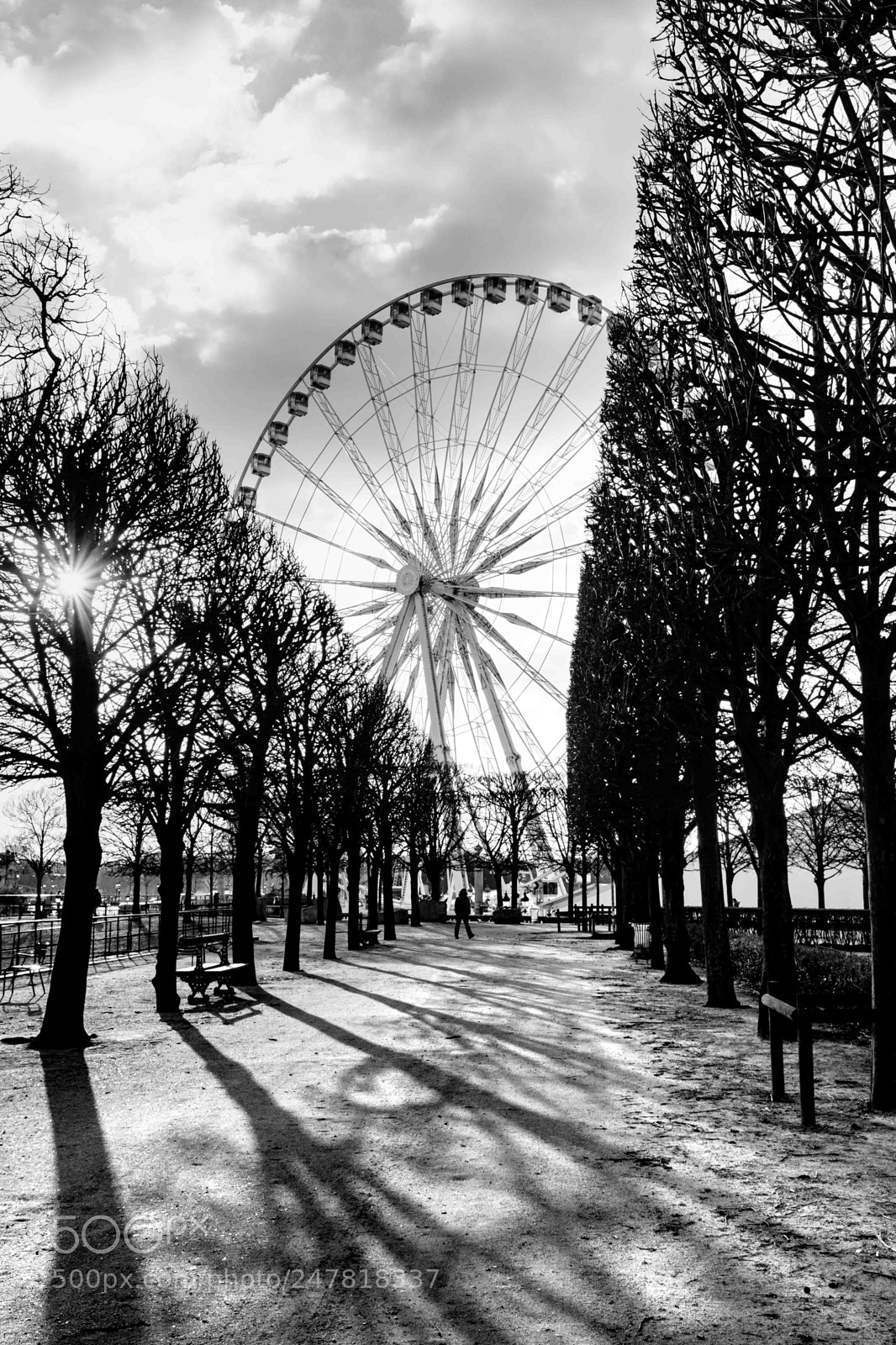 Fujifilm X100F sample photo. Jardin des tuileries, paris photography