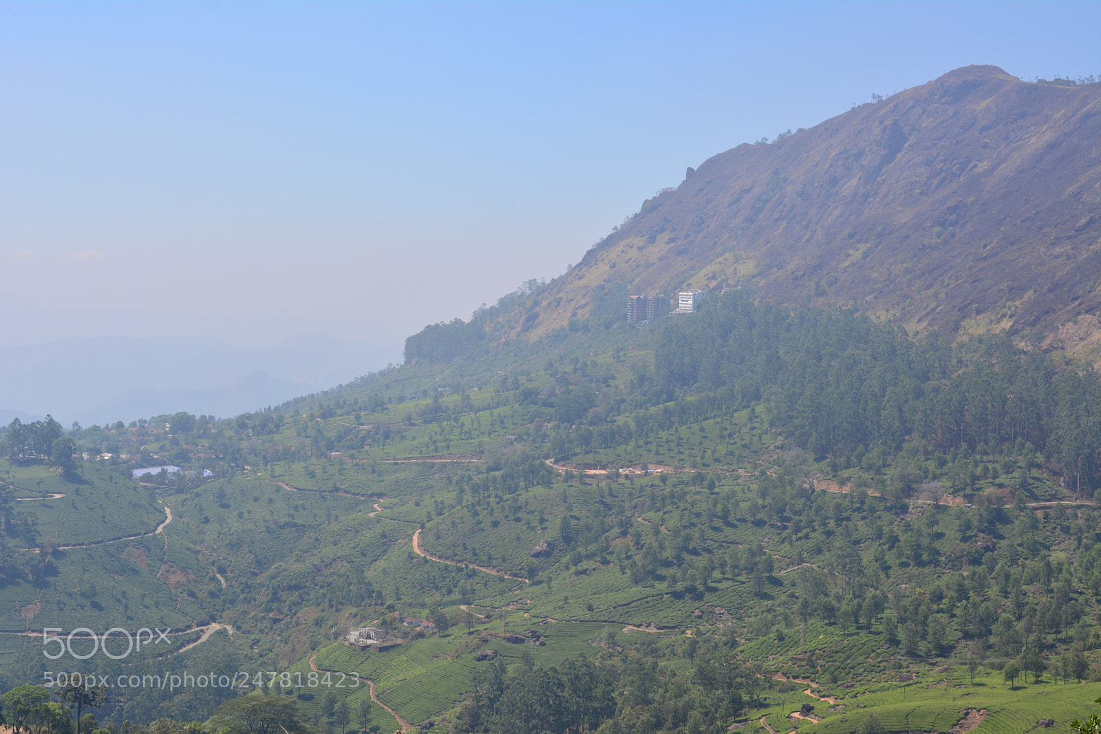 Nikon D5200 sample photo. Amazing nature photography