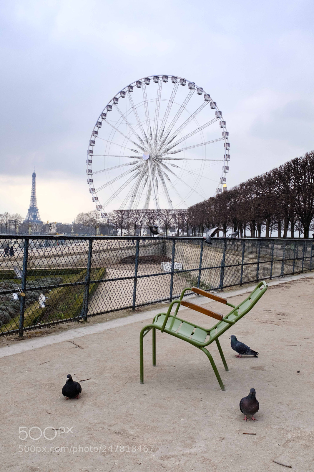 Fujifilm X100F sample photo. Jardin des tuileries, paris photography