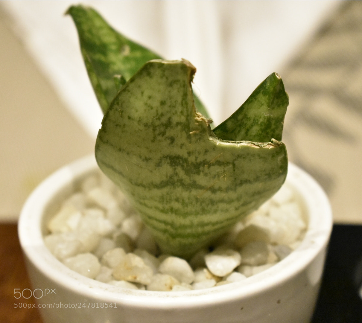 Nikon D3400 sample photo. Untitled photography