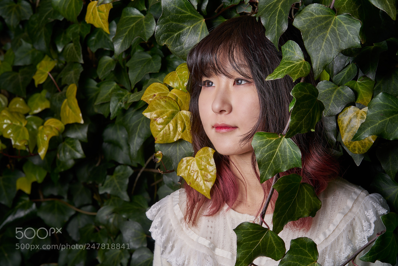 Sony a7R II sample photo. Ivory photography