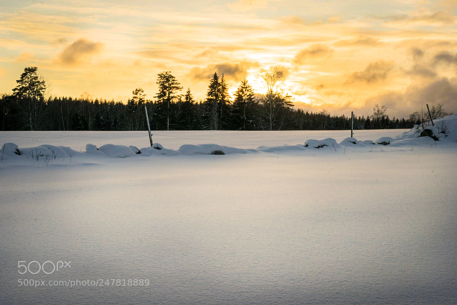 Sony a7R sample photo. Sunset in the snow photography