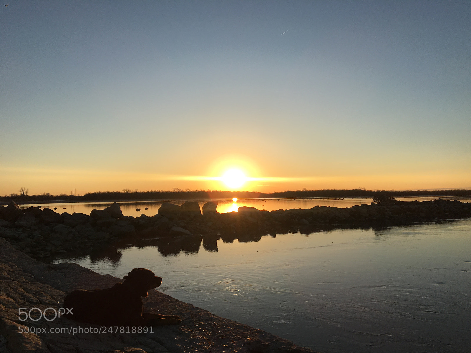 Apple iPhone 6s sample photo. Dog loves sunsets photography
