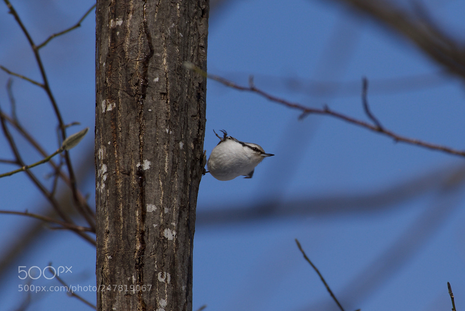 Pentax K-1 sample photo. Stand on one leg photography