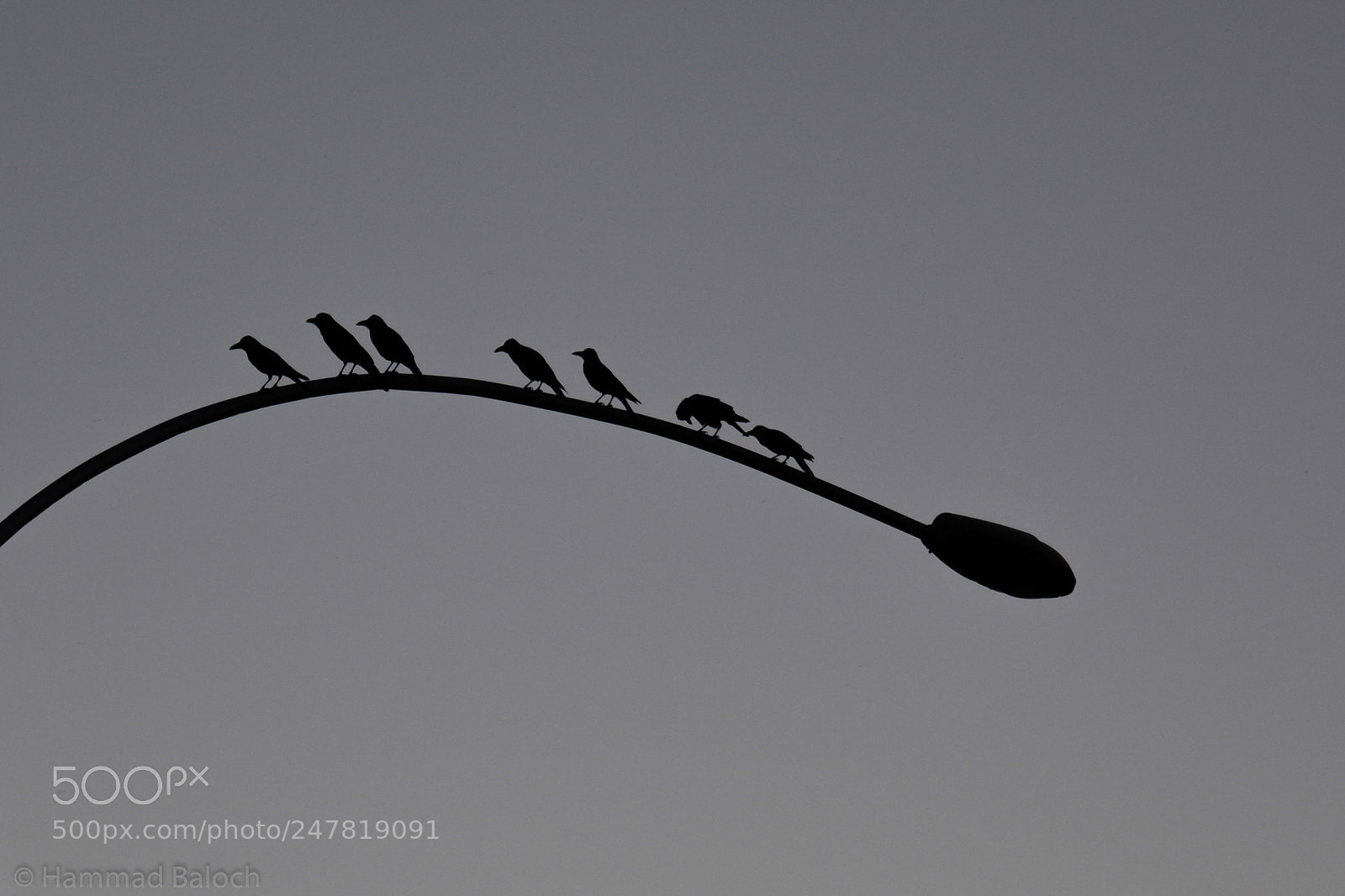 Nikon D5200 sample photo. 002.jpg photography