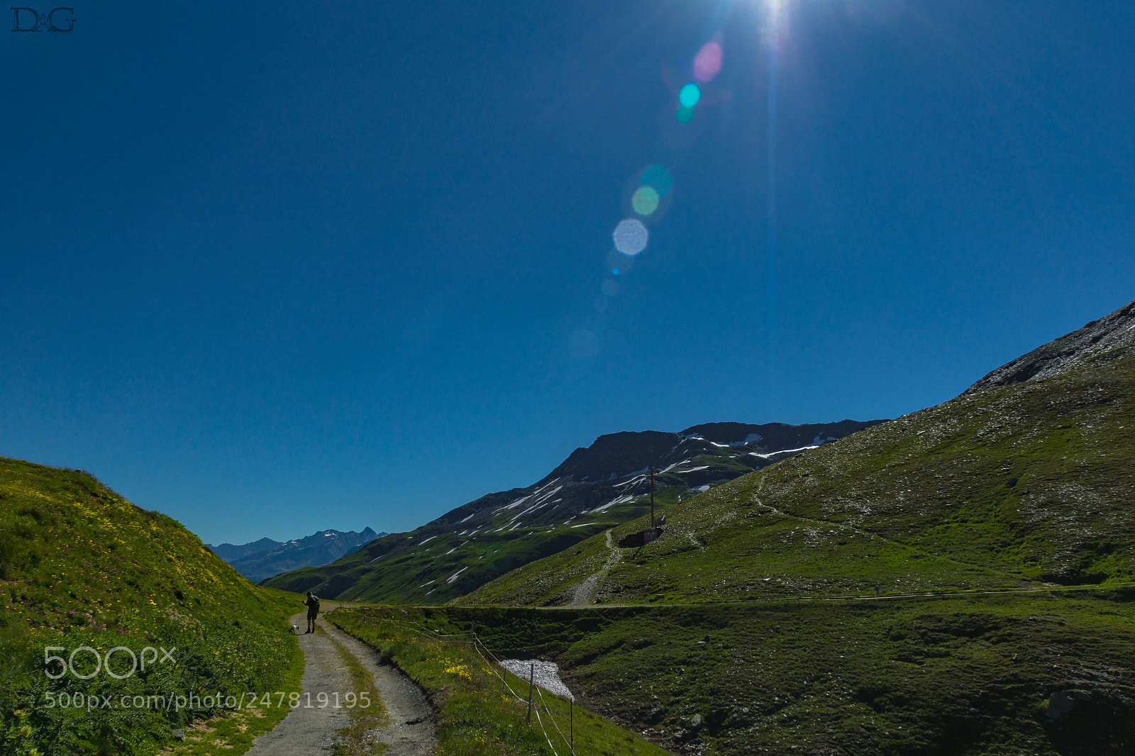Sony SLT-A77 sample photo. Wanderer mit hund photography