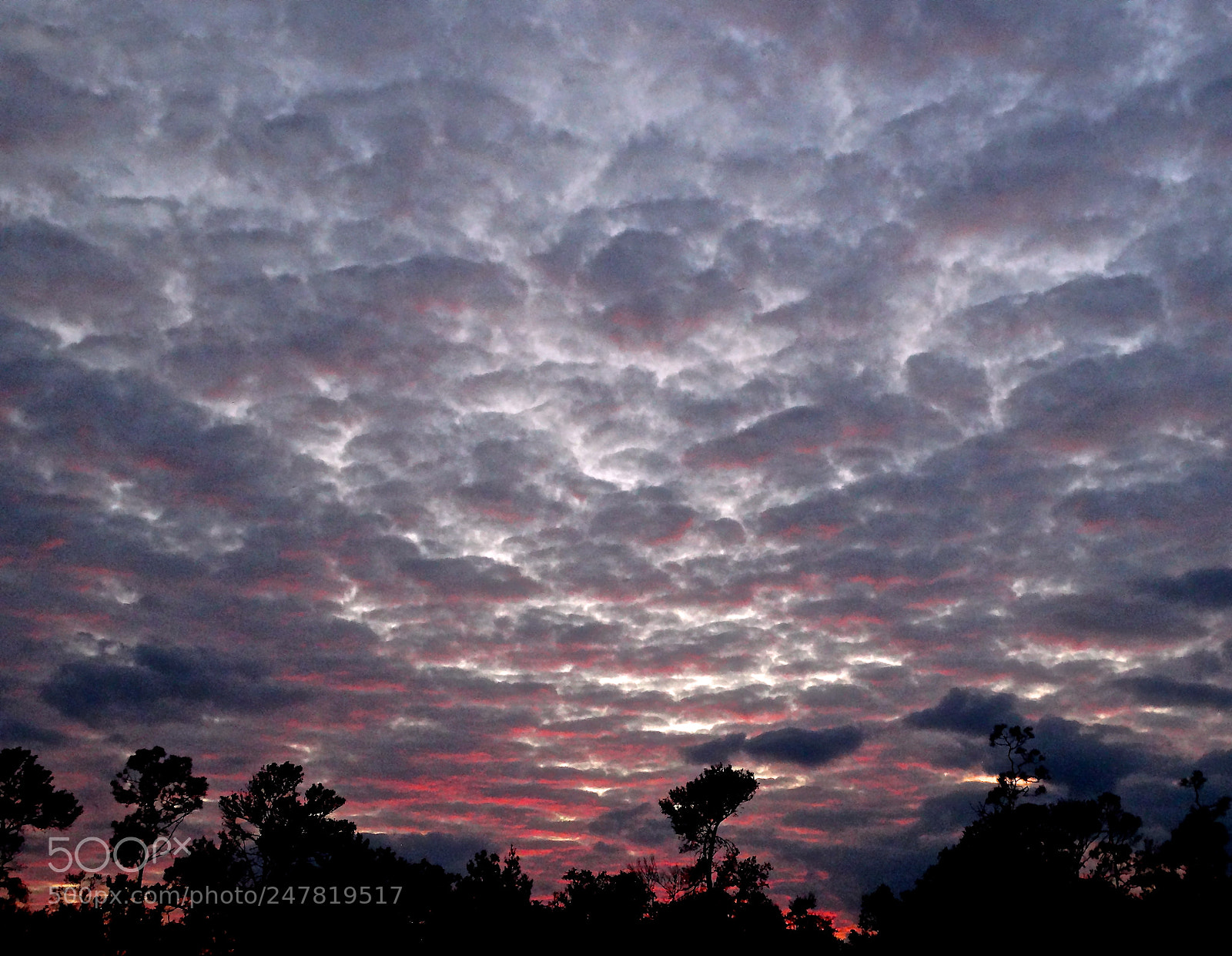 Sony Cyber-shot DSC-HX300 sample photo. Sunset silhouette at the photography