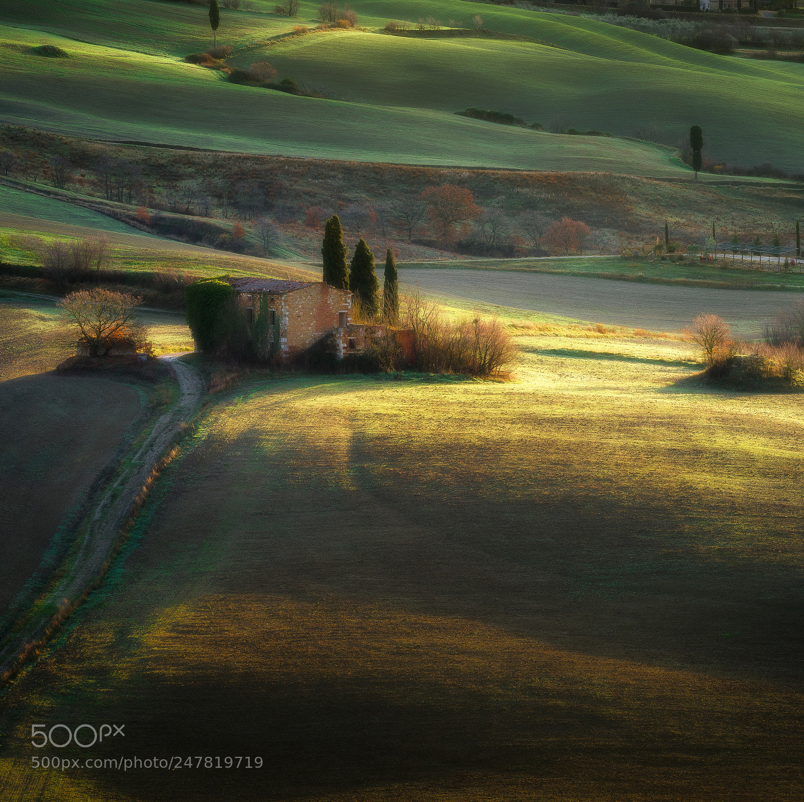 Nikon D810 sample photo. Sunrise relief photography