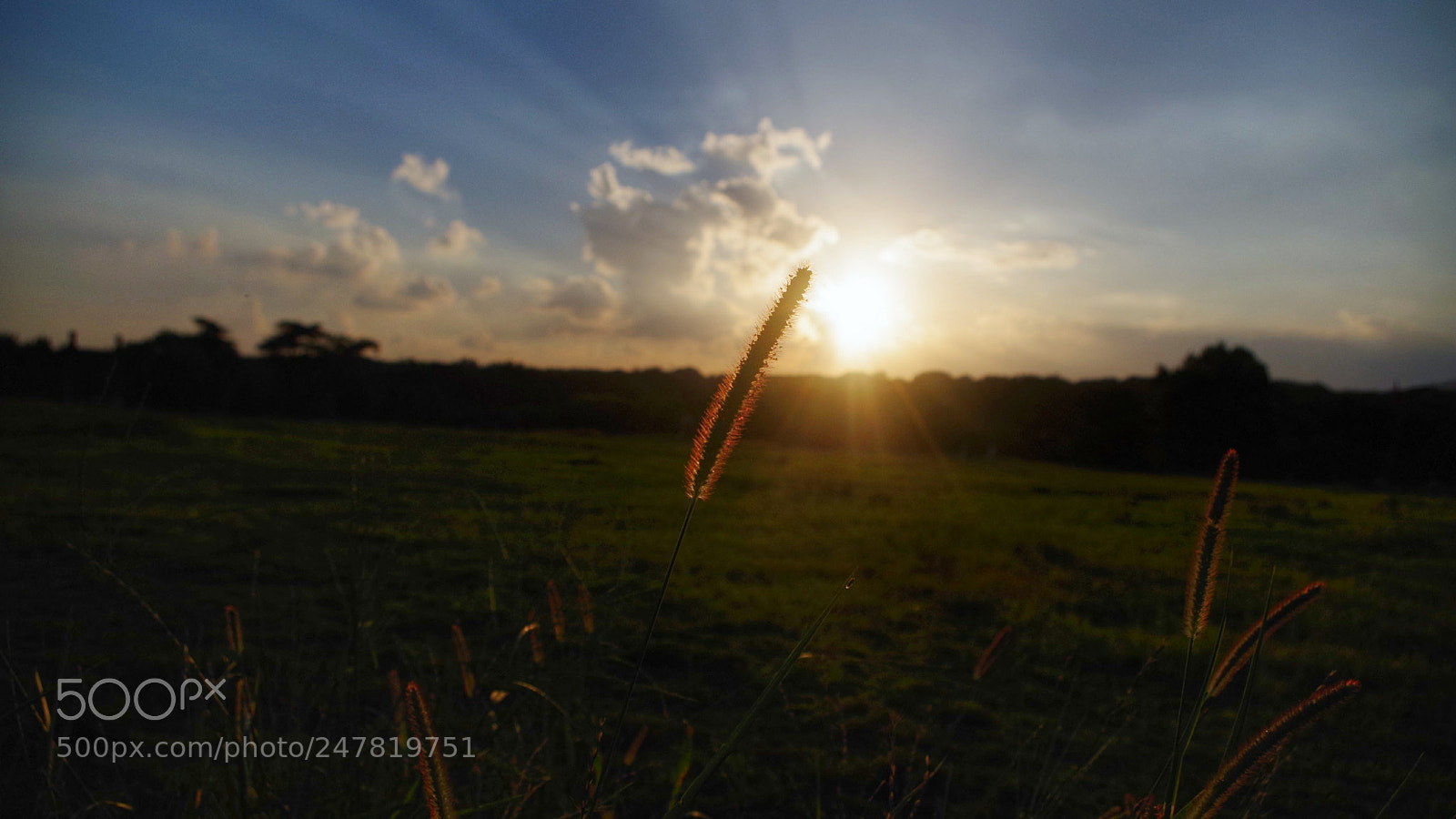Pentax K-50 sample photo. Untitled photography