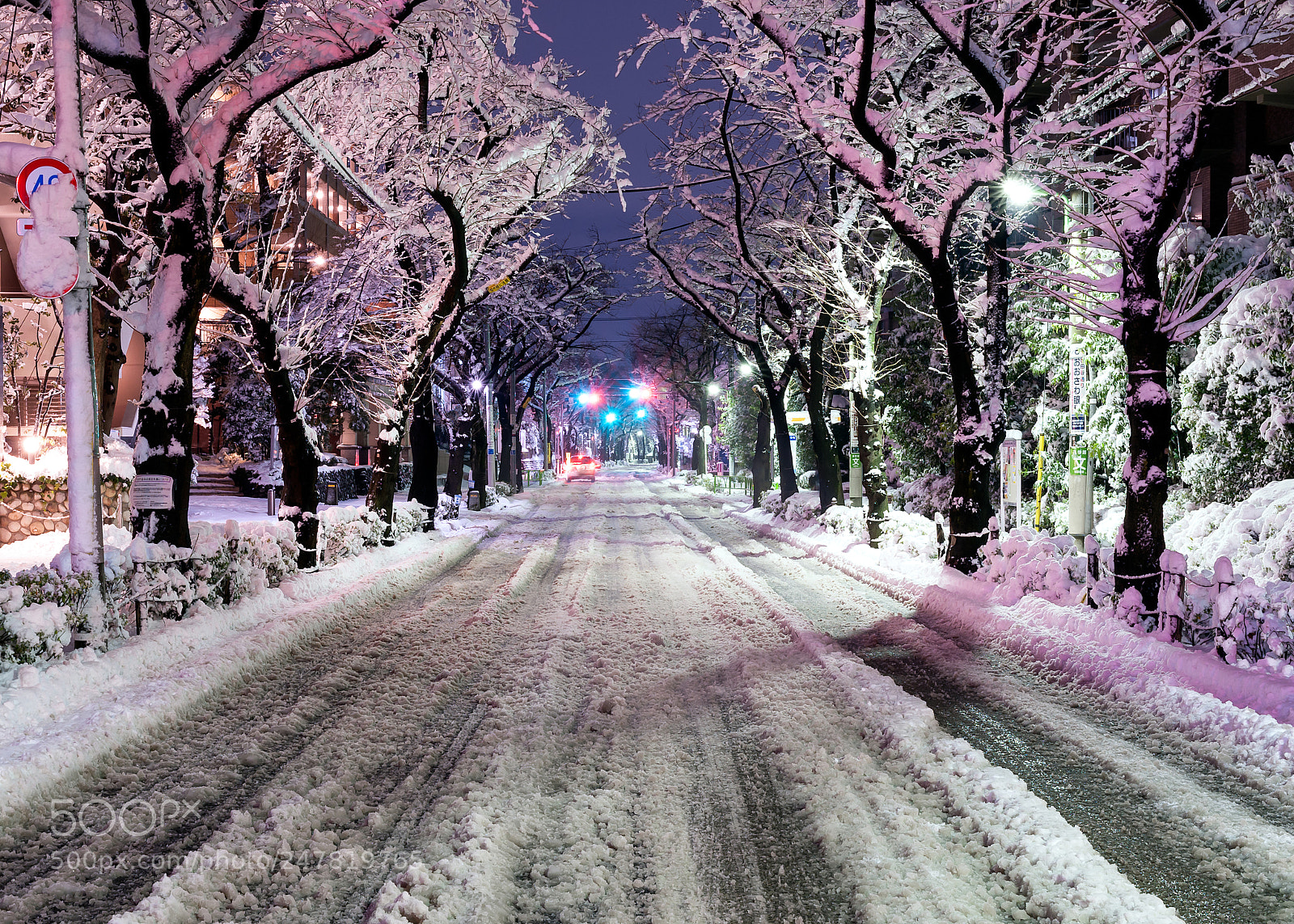 Nikon D3 sample photo. Tokyo snow photography