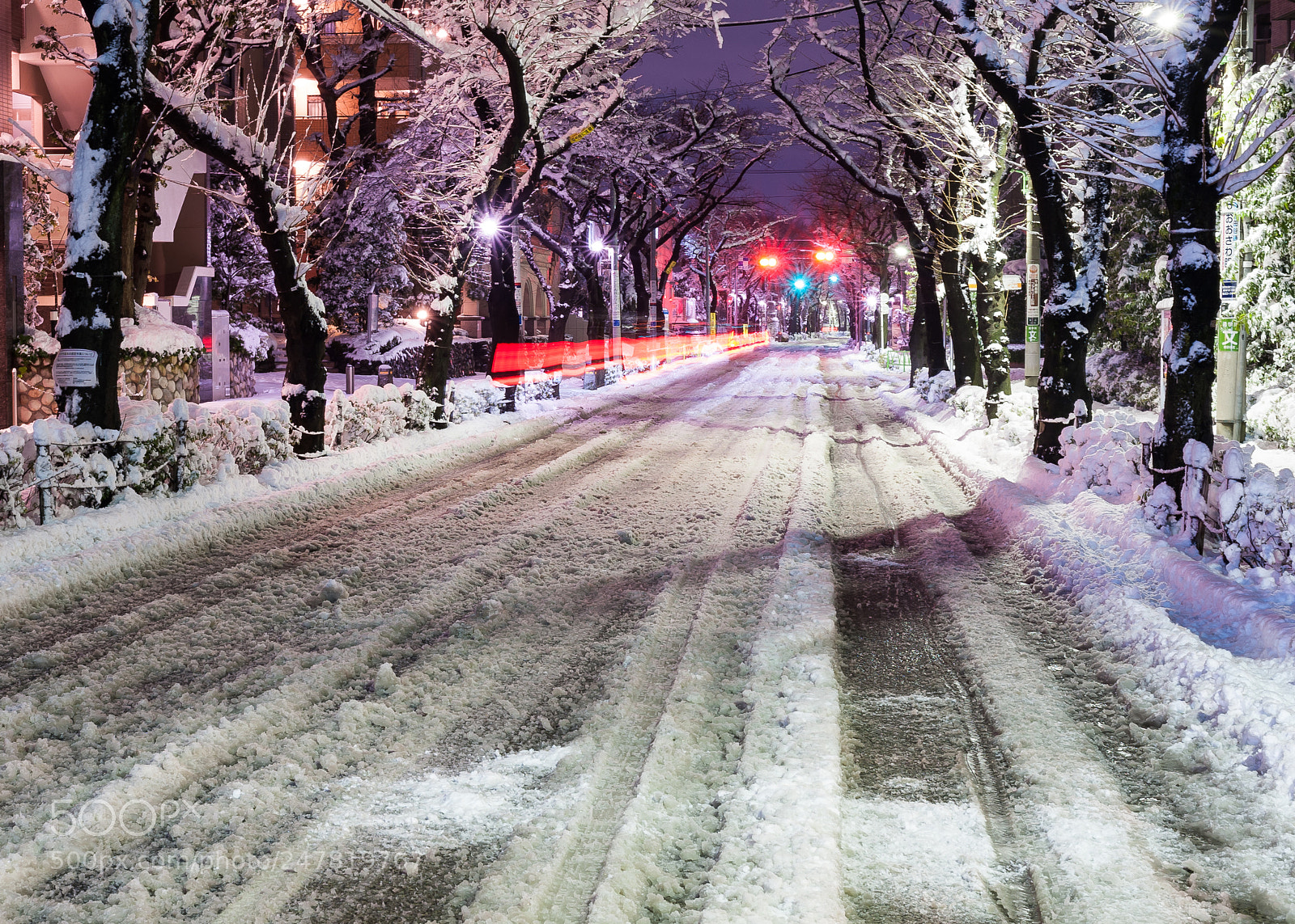 Nikon D3 sample photo. Tokyo snow photography