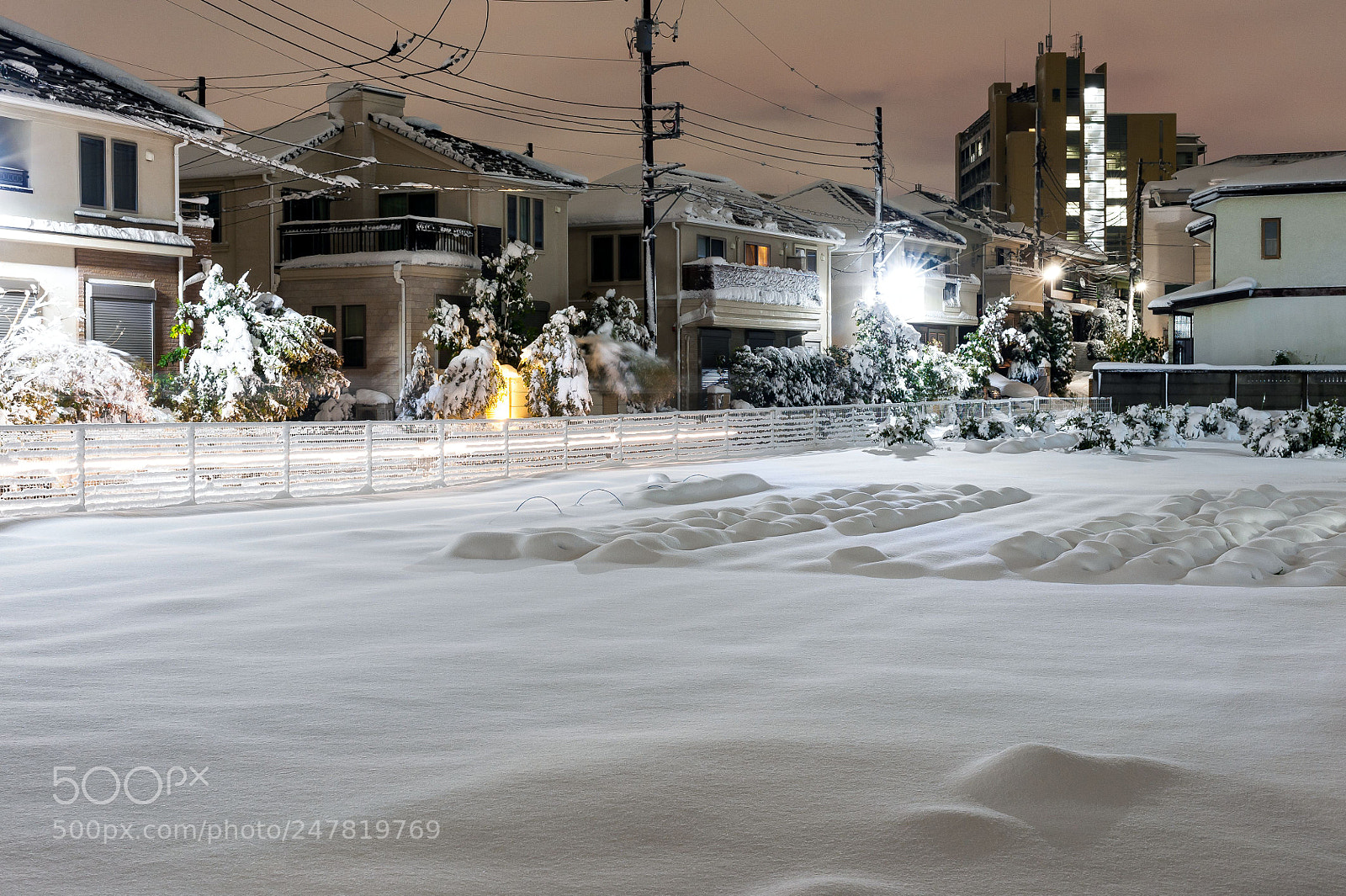 Nikon D3 sample photo. Tokyo snow photography