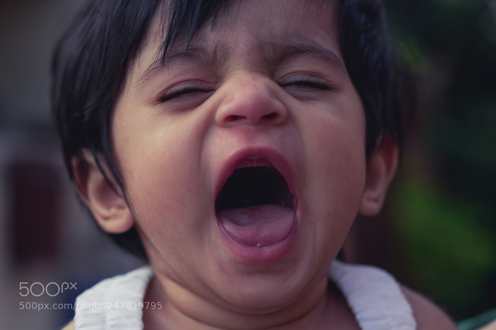 Canon EOS 700D (EOS Rebel T5i / EOS Kiss X7i) sample photo. Say "aaaahhh" photography