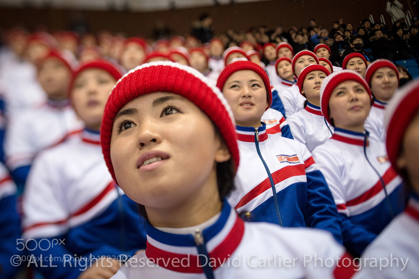 Nikon D800 sample photo. Winter olympics by www.davidcarlierphotography.com photography