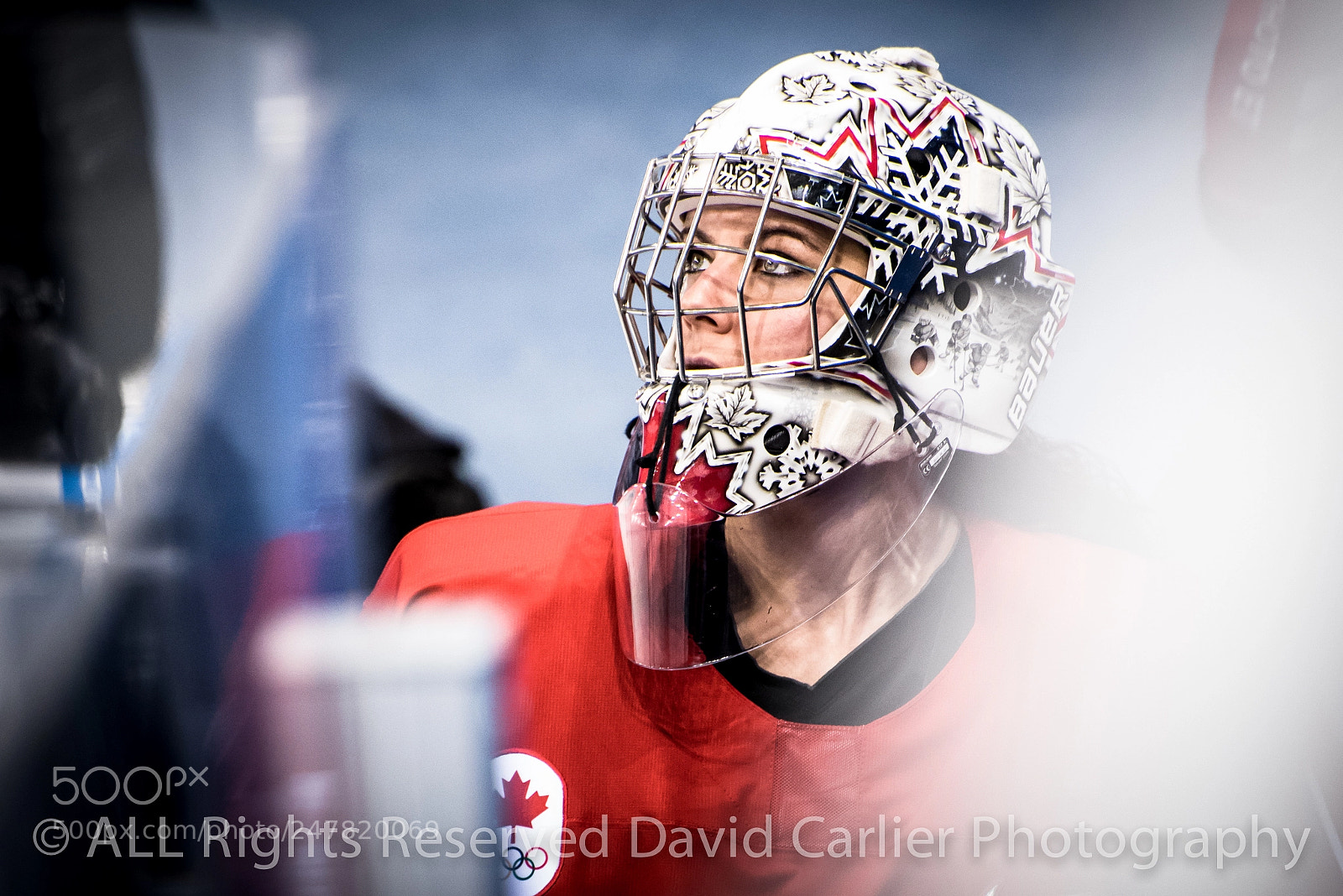 Nikon D810 sample photo. Winter olympics by www.davidcarlierphotography.com photography