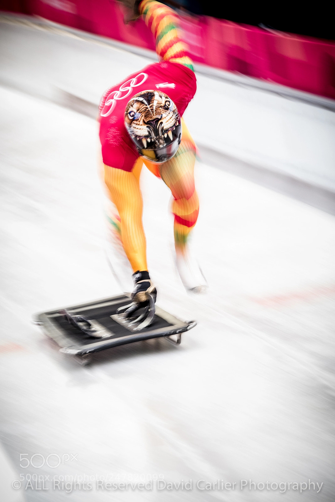 Nikon D810 sample photo. Winter olympics by www.davidcarlierphotography.com photography