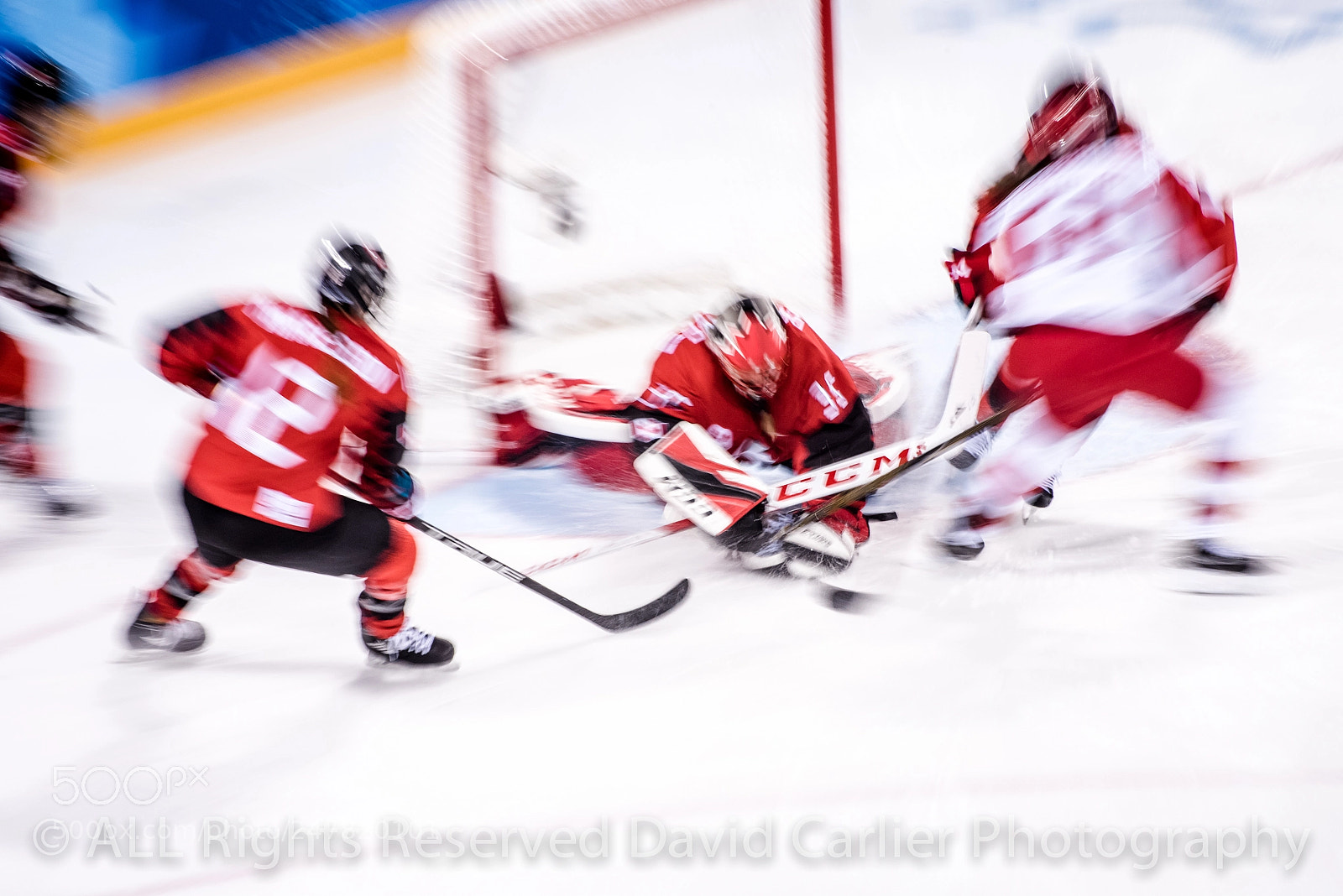 Nikon D810 sample photo. Winter olympics by www.davidcarlierphotography.com photography