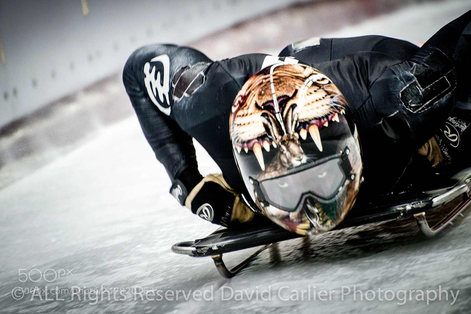 Nikon D800 sample photo. Winter olympics by www.davidcarlierphotography.com photography